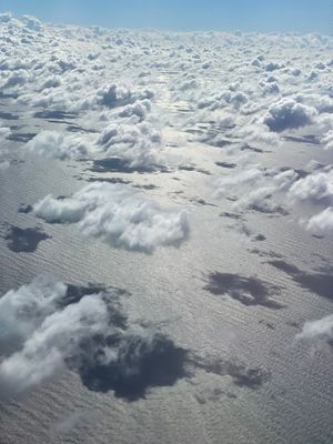 The sky's the limit.